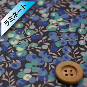 yThE蕜FzoeBEt@ubNX ^i[y~l[gHziWiltshire u[ubNjEBgV[y3339009EBEz