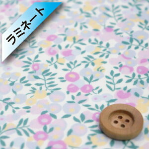 yThEIWiJ[zoeBEt@ubNX ^i[y~l[gHziWiltshire EBgV[jXvEg~bNXy3339009EJ21Gz