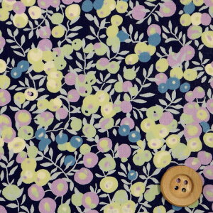 yThE蕜FzoeBEt@ubNX ^i[iWiltshire p[vlCr[jEBgV[y3339009ELEz