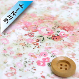 yThE蕜FzoeBEt@ubNXg ^i[y~l[gHz(Umbria AuAjsNItzCgy3632186E12Bz