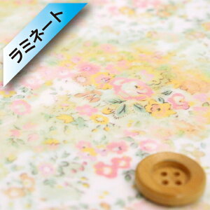 yThEIWiJ[zoeBEt@ubNX ^i[y~l[gHziUmbria AuAjIWTVCy12-3632186EJ24Az