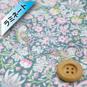 yThEIWiJ[zoeBEt@ubNX ^i[y~l[gHziStrawberry Thief XpEO[jXgx[EV[ty3635061EJ21Gz