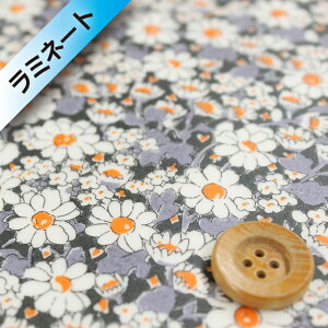 yThE蕜FzoeBEt@ubNX ^i[y~l[gHziAliceW AXWjubNy15-3635152E15Cz