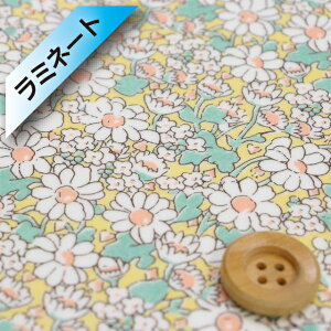 yThEIWiJ[zoeBEt@ubNX ^i[y~l[gHziAliceW AXWjN[~[CG[y15-3635152EJ17Az