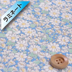 yThEIWiJ[zoeBEt@ubNX ^i[y~l[gHziAliceW AXWj_[u[y15-3635152EJ25Bz