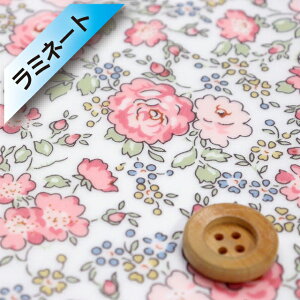 yThE蕜FzoeBEt@ubNX ^i[y~l[gHziFelicite tFVejCgsNy3637113E97Bz