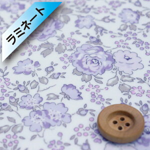 yThEIWiJ[zoeBEt@ubNX ^i[y~l[gHziFelicite tFVejp[vOXy97-3637113EJ25Az