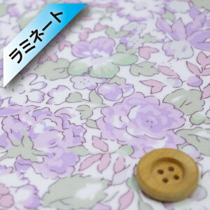 yThEIWiJ[zoeBEt@ubNX ^i[y~l[gHziPowis [Xx_[j|EBXy83-333118EJ22Az