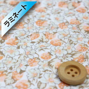 yThEIWiJ[zoeBEt@ubNX ^i[y~l[gHziAshtead VGiIWjAVebhy94-3334113EJ22Fz