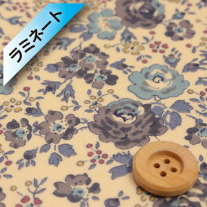 yThE蕜FzoeBEt@ubNX ^i[y~l[gHziFelicite O[u[jtFVei97-3637113EJ13Ej