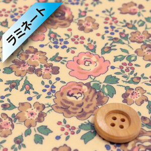 yThE蕜FzoeBEt@ubNX ^i[y~l[gHziFelicite sNuEjtFVei97-3637113EJ13Fj