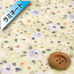 yThE蕿zoeBEt@ubNX ^i[y~l[gHziDewy Rose f[CE[YjtFXO[yDC33983EJ24Az