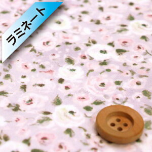 yThE蕿zoeBEt@ubNX ^i[y~l[gHziDewy Rose f[CE[YjtBl[[yDC33983EJ24Bz