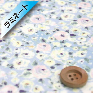 yThE蕿zoeBEt@ubNX ^i[y~l[gHziDewy Rose f[CE[YjEH[^[t[yDC33983EJ24Cz