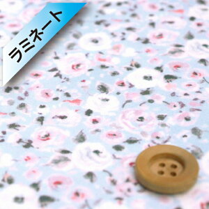 yThE蕿zoeBEt@ubNX ^i[y~l[gHziDewy Rose f[CE[Yj`F[_XyDC33983EJ24Dz