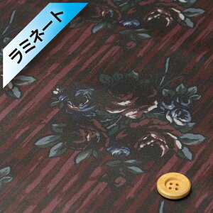 yThE蕿zoeBEt@ubNX ^i[y~l[gHziRose Swag [YEXbOj}X[YyDC34607EJ25Az