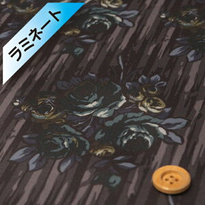 yThE蕿zoeBEt@ubNX ^i[y~l[gHziRose Swag [YEXbOjAbVWFChyDC34607EJ25Bz