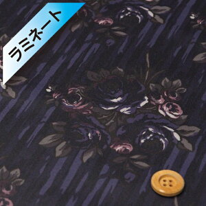 yThE蕿zoeBEt@ubNX ^i[y~l[gHziRose Swag [YEXbOjCBIyDC34607EJ25Cz