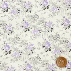 yThEIWiJ[zoeBEt@ubNX ^i[iLavengro kGbgp[vjxOyWO-3630259EJ21Bz