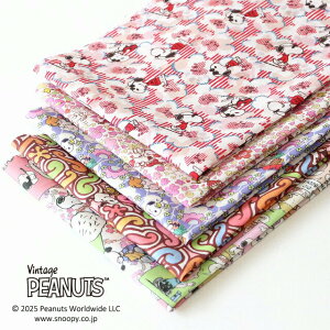 oeBEt@ubNXZbgPEANUTS COLLECTION Vol.2 JbgNX5Zbgi25Nt/sNnj