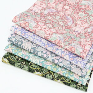 oeBEt@ubNXZbgoeBvgwStrawberry ThiefxJbgNX5Zbgy`OX֔Ȃ瑗z