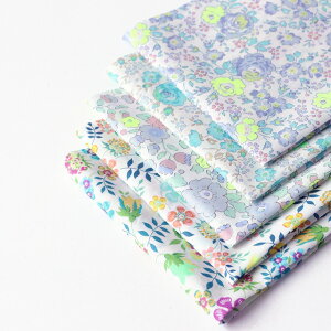 oeBEt@ubNXZbgoeBEt@ubNXwNeon LibertyxJbgNX5Zbg(Felicite/u[n) y`OX֔Ȃ瑗z