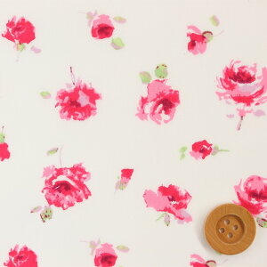 oeBEt@ubNX ^i[niRosa [UjfB[vsNy3632089ELBEz