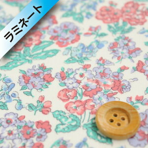 oeBEt@ubNX ^i[y~l[gHz621iEmerline G}[Cjbhu[y90-3330110z