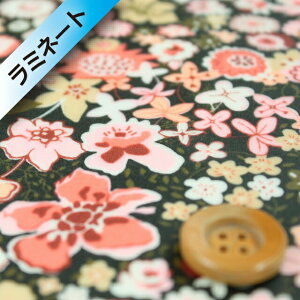 yThE蕜FzoeBEt@ubNX ^i[y~l[gHziBozenka {[[JjsN oeB