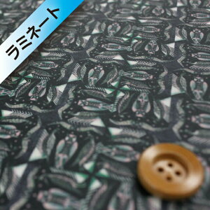 oeBEt@ubNX ^i[y~l[gHziOwls AEXjubNmDC28983EJ16Dn