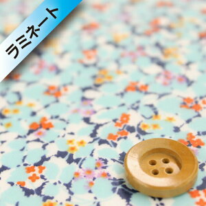 oeBEt@ubNX ^i[y~l[gHz604iHedgerow wbWEjCgu[y3637291z