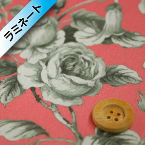 oeBEt@ubNX ^i[y~l[gHziGraceful O[XtjsNy18-3638233z