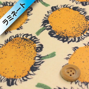 oeBEt@ubNX ^i[y~l[gHziBeby Bloom xr[Eu[jIW/ny99-3639101z