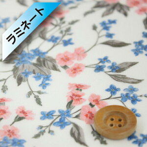 oeBEt@ubNX ^i[y~l[gHziYorkshire Meadow [NV[EhEjCgsNu[yDC30106EJ19Az