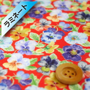 oeBEt@ubNX ^i[y~l[gHziThink of Me VNEIuE~[jbhny20-36301107 E20BTz