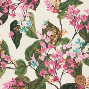 oeBEt@ubNX ^i[iOsterley ItzCgnjIX^[y21-3631222E21BTz