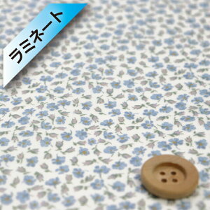 oeBEt@ubNX ^i[y~l[gHziKensington Rose Cgu[O[jPWgE[Yy21-1611102E21BTz