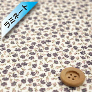 oeBEt@ubNX ^i[y~l[gHziKensington Rose O[jPWgE[Yy21-1611102EJ21Cz