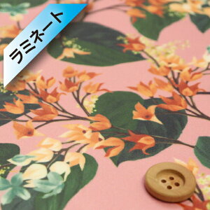 oeBEt@ubNX ^i[y~l[gHziOsterley sNnjIX^[y21-3631222ESD21Cz