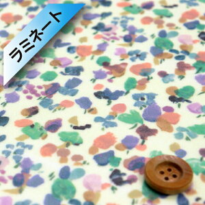 oeBEt@ubNX ^i[y~l[gHziRhapsody O[sNjv\fBy21-3631120ESD21Bz