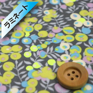 oeBEt@ubNX ^i[y~l[gHziWiltshire CG[O[/lIJ[jEBgV[y3339009NEJ22Bz