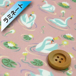 oeBEt@ubNX ^i[y~l[gHziManon X[L[sNj}my363J6434EDz