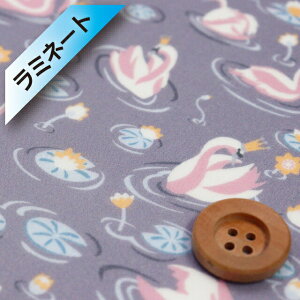 yThEIWiJ[zoeBEt@ubNX ^i[y~l[gHziManon [O[j}my363J6434EZz