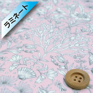 oeBEt@ubNX ^i[y~l[gHziTafiti CgsNj^tBeBy363J6439ECz