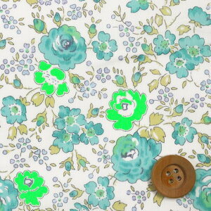 リバティ・ファブリックス タナローン(Felicite グリーン/ネオンカラー)フェリシテ【97-3637113N・J22D】