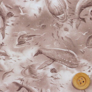 oeBEt@ubNX ^i[iXander CguEjU_[y363J6431EAz