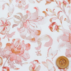 yThEIWiJ[zoeBEt@ubNX ^i[iButterfly Vine TZbgsNjo^tCE@Cy363J6437EZz