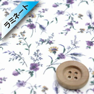 oeBEt@ubNX ^i[y~l[gHziEmma Victoria p[vCG[jG}ErNgAy23-3633236E23BTz