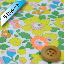 楽天市場】リバティ ラミネート ジェニーズリボンズの通販