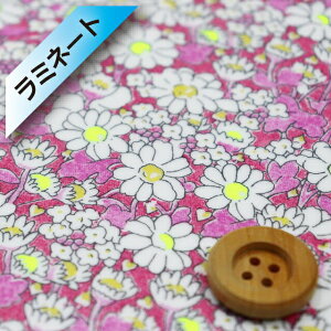 oeBEt@ubNX ^i[y~l[gHziAlice Neon sNbh/CG[lIjAXElIyDC32677EJ23Bz